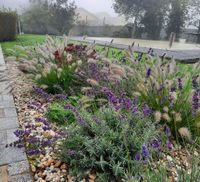 Herbst mit Lavendel, Sedum und Gras 2