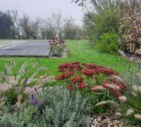 Herbst mit Sedum, Lavendel und Gras